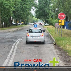 BIAŁA PODLASKA