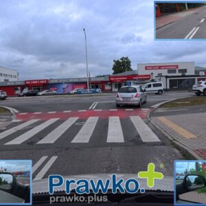 BIAŁA PODLASKA